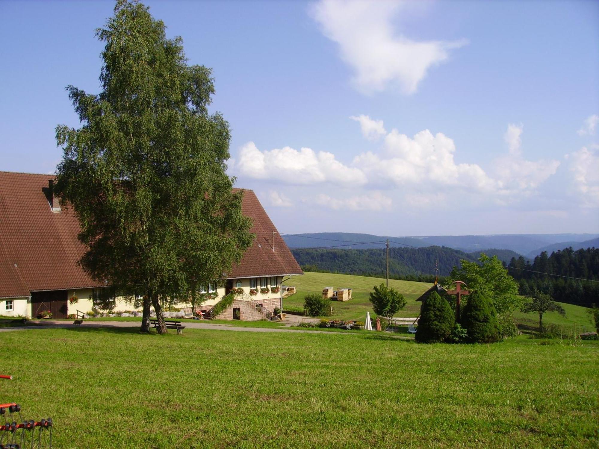 Aeckerhof Villa Wolfach Exterior photo